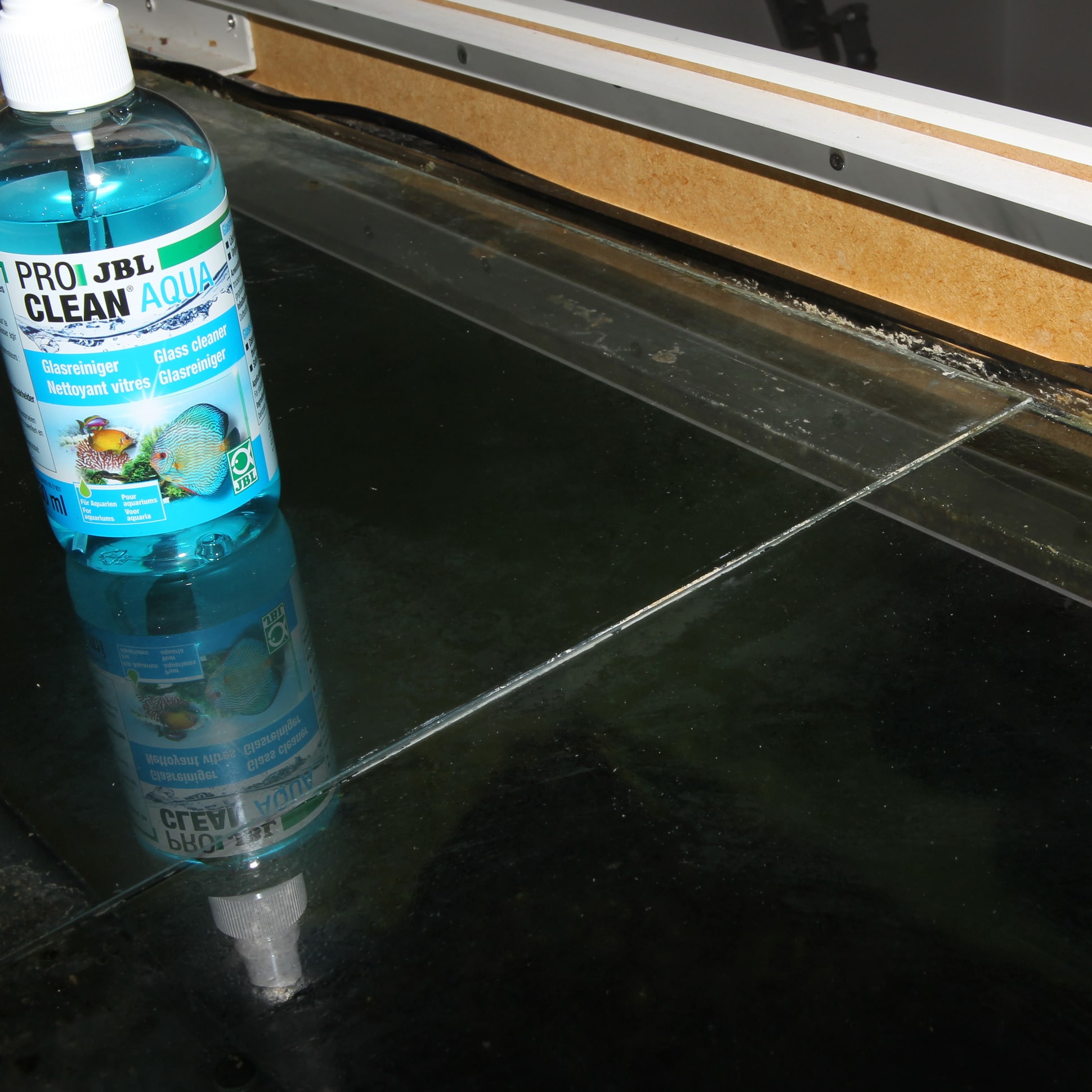 Kit De 6 Nettoyants Pour Aquarium - Nettoyage Vitres, Carrelage, Murs - Éponges EVA Multifonctions Pour Aquarium, Cuisine, Fenêtres