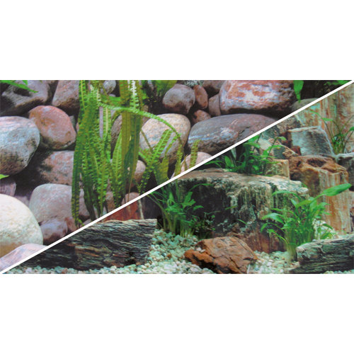 poster-d-aquarium-a-la-coupe-fond-pierres-imprime-sur-2-faces-hauteur-60cm