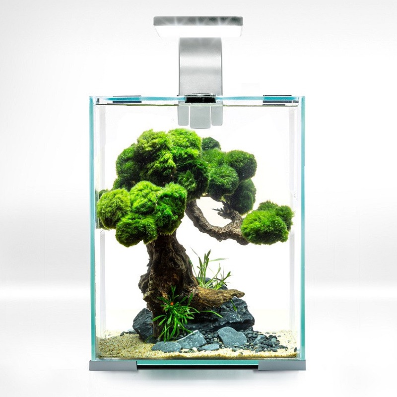 AQUAEL ShrimpSet Day & Night 10 Blanc nano-aquarium 10L tout équipé 20 x 20 x 25 cm