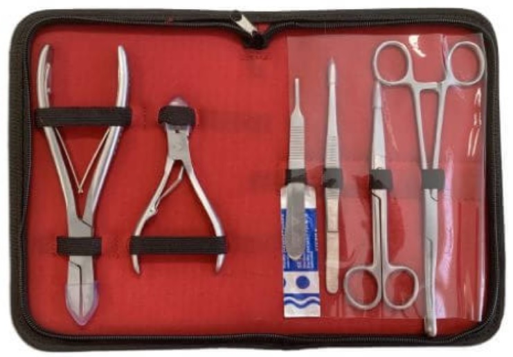 D-D Kit complet d\'accessoires de coupe en acier inoxydable pour bouturage et entretien des coraux
