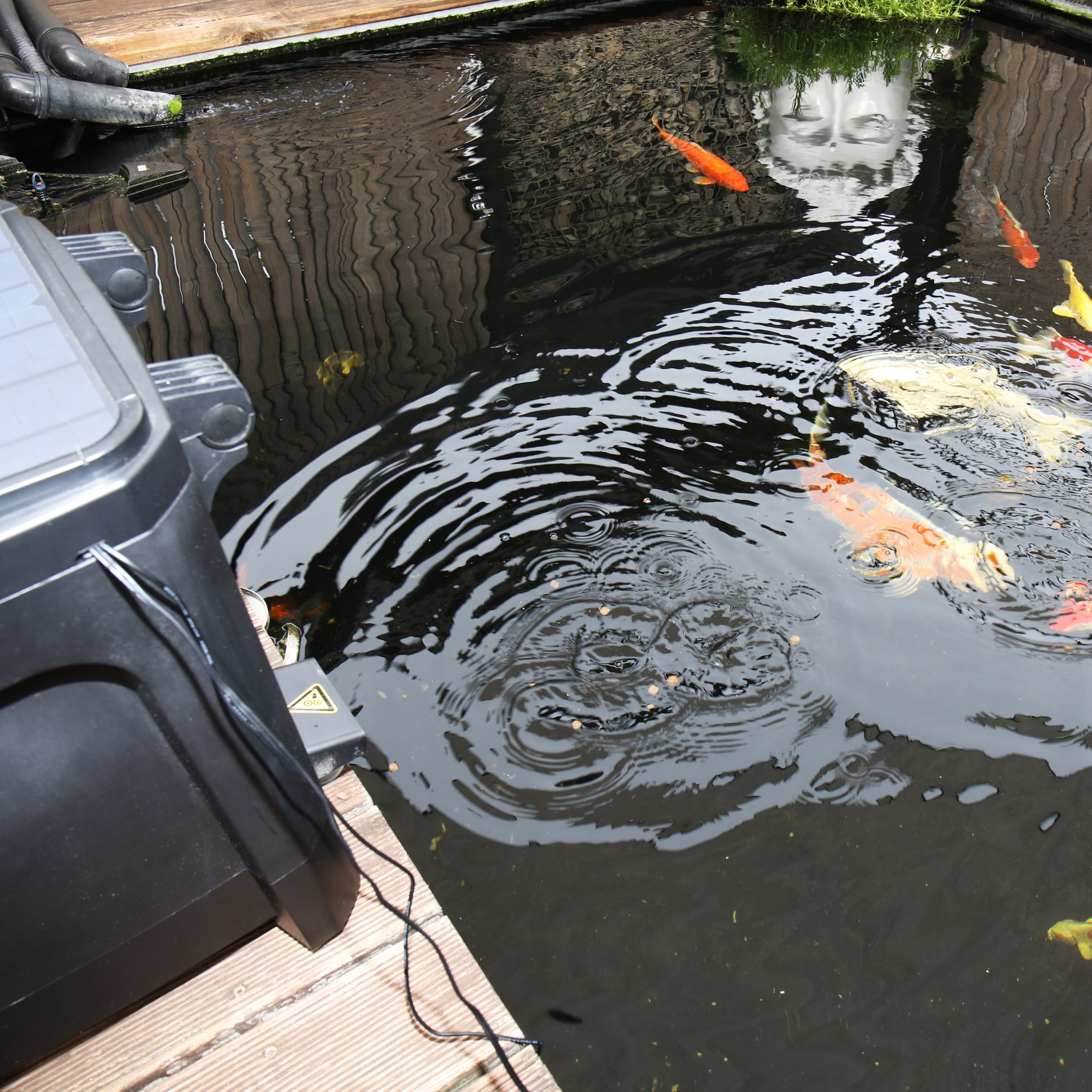 jbl-propond-autofood-distributeur-de-nourriture-solaire-automatique-pour-bassin-de-jardin-14-min