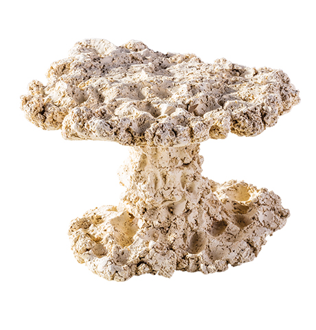 arka-mushroom-30-cm-roche-ceramique-haute-porosite-pour-aquarium-d-eau-de-mer