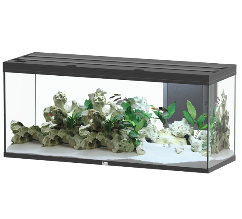 aquatlantis-volga-450-noir-aquarium-equipe-580-l-dimensions-152-5-x-52-7-x-67-6-cm