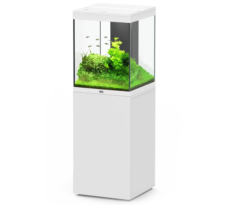 AQUATLANTIS Aqua Tower 163 LED Blanc aquarium équipé 164 L avec meuble une porte - Dimension : 49,9 x 50,1 x 65,4 cm