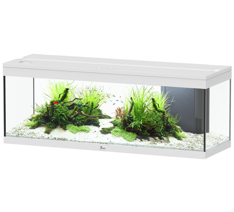 Aquarium équipé Kit 35 blanc - 18L : Aquatlantis AQUATLANTIS animalerie -  botanic®