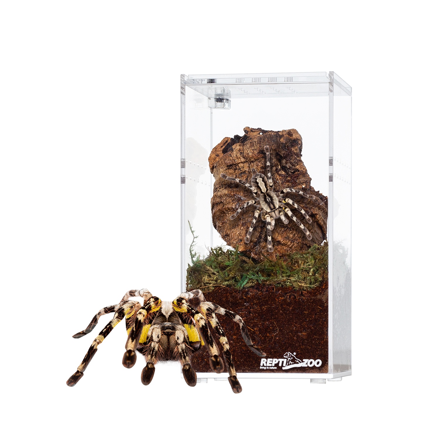 repti-zoo-terrarium-akrylowe-75x75x15cm-