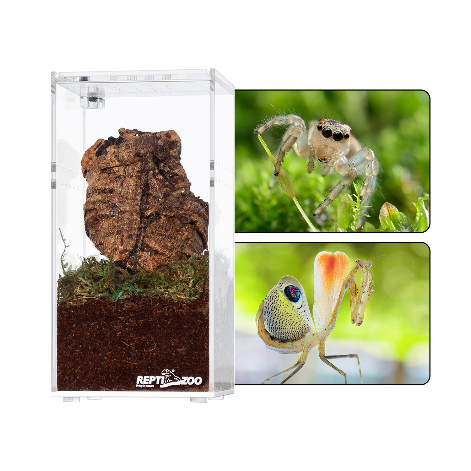 repti-zoo-terrarium-akrylowe-75x75x15cm-