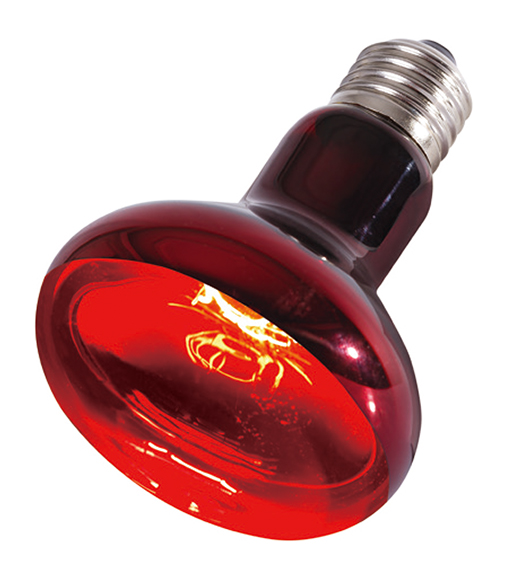 REPTIZOO Lampe chauffante Infra Rouge 50W avec culot E27