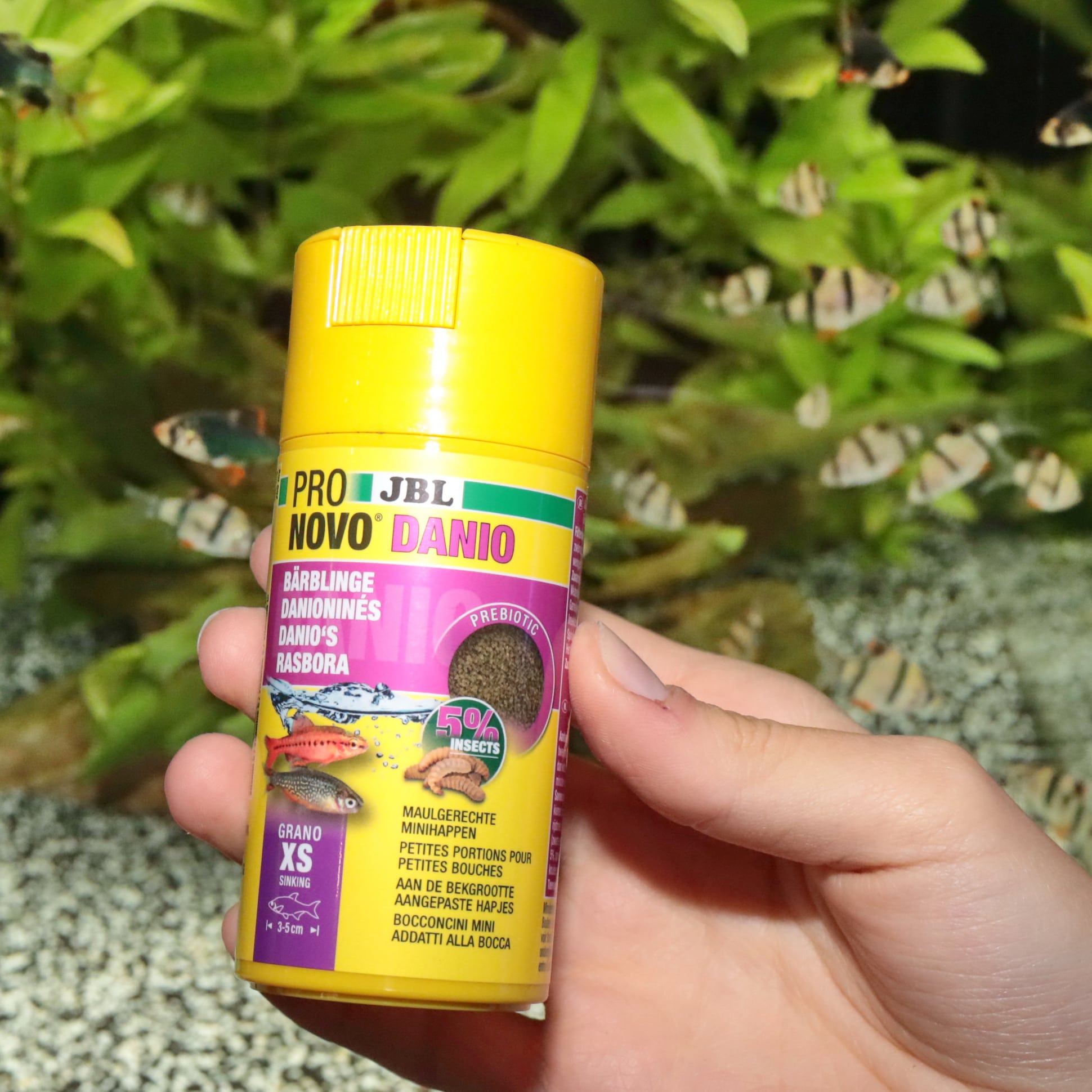 jbl-pronovo-danio-grano-xs-20-ml-nourriture-en-granules-pour-petits-barbus-et-danios-de-3-a-5-cm-6-min