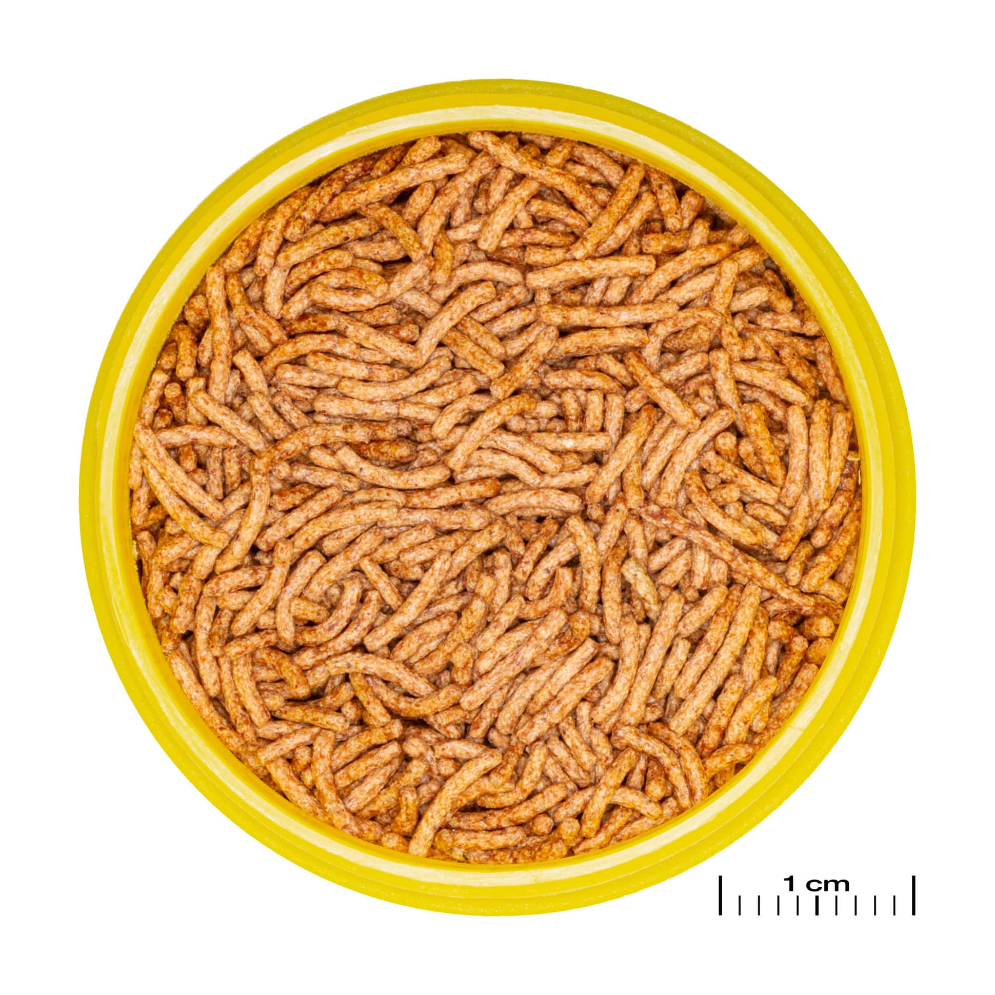jbl-pronovo-betta-insect-stick-s-nourriture-en-batonnets-fins-pour-combattants-de-3-a-10-cm-min