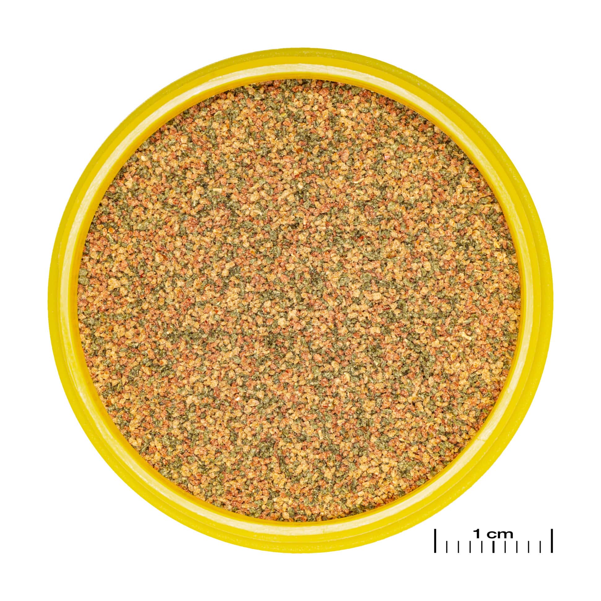 jbl-pronovo-bel-grano-xxs-100-ml-click-nourriture-de-base-en-granules-pour-tous-poissons-d-aquarium-de-1-a-3-cm-1-min