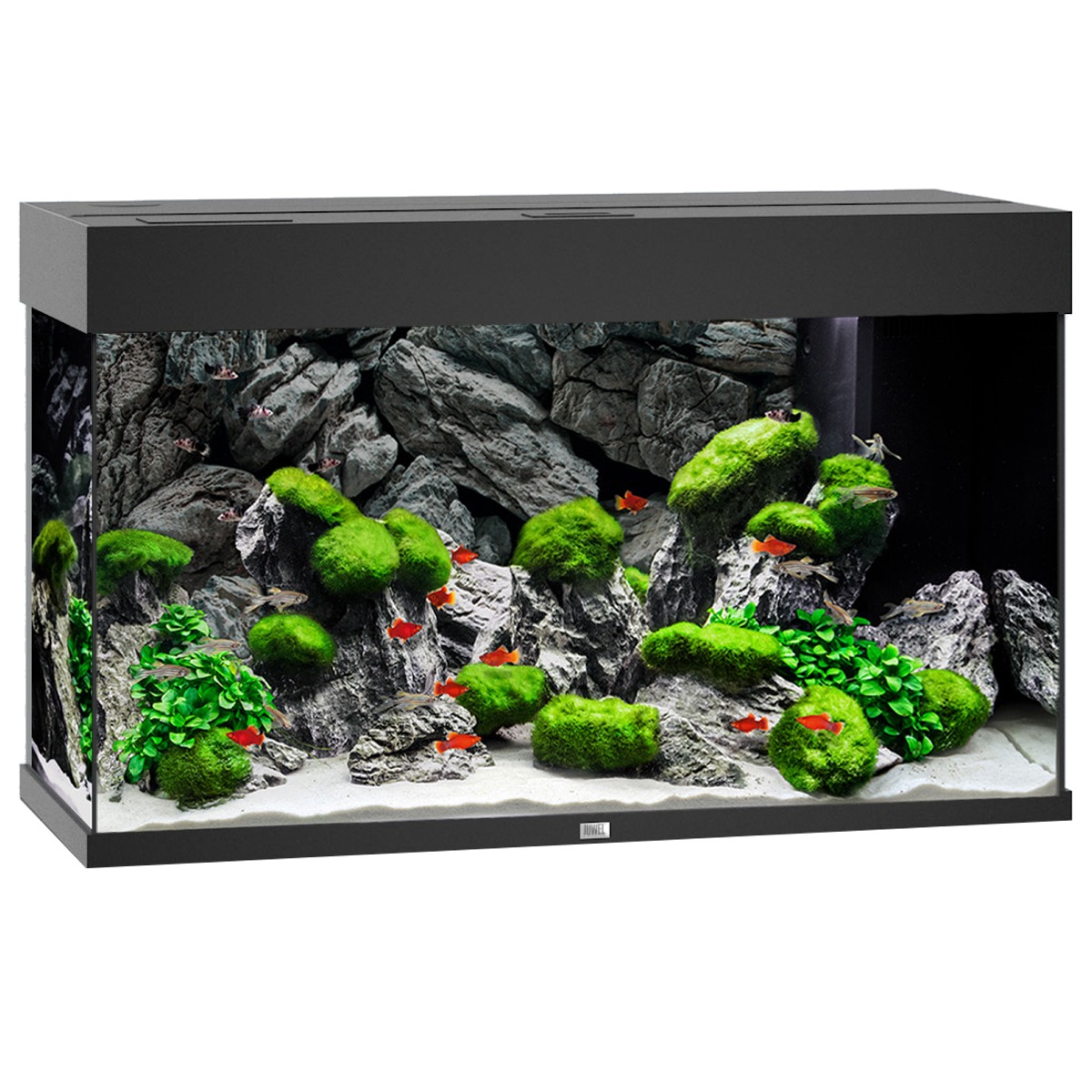 JUWEL Rio 125 LED Noir aquarium équipé 81 x 36 x 50 cm 125 L