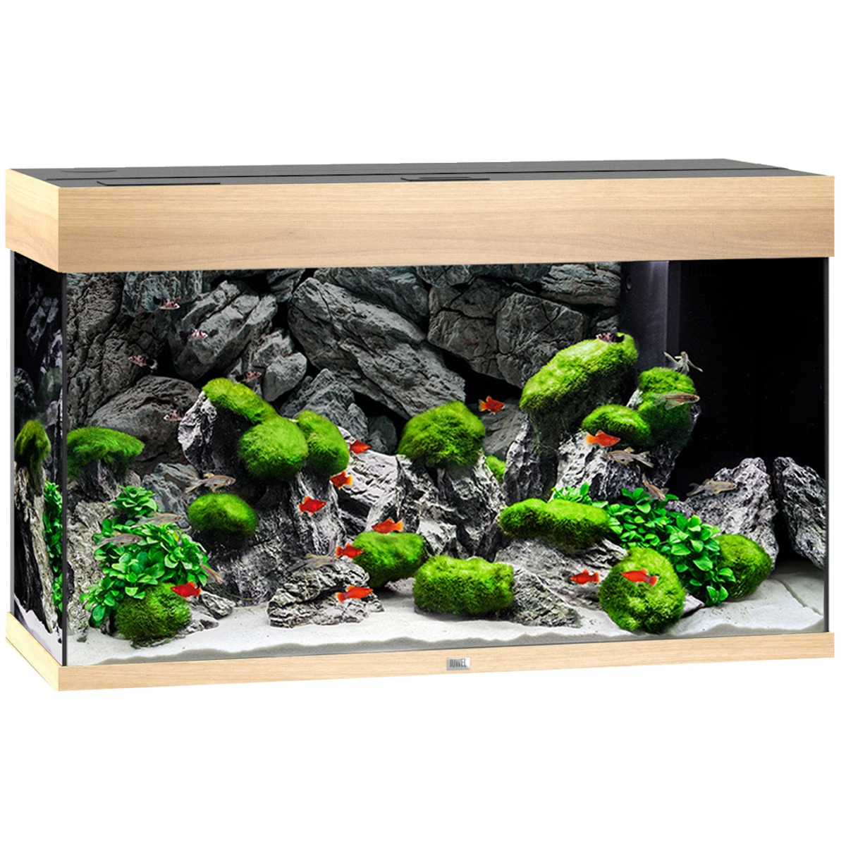 JUWEL Rio 125 LED Chêne Clair aquarium équipé 81 x 36 x 50 cm 125 L