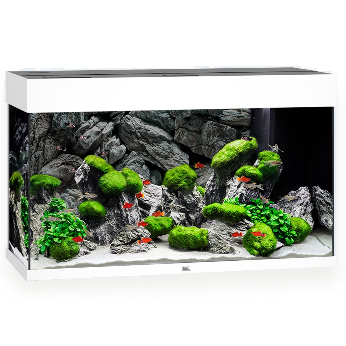 JUWEL Rio 125 LED Blanc aquarium équipé 81 x 36 x 50 cm 125 L