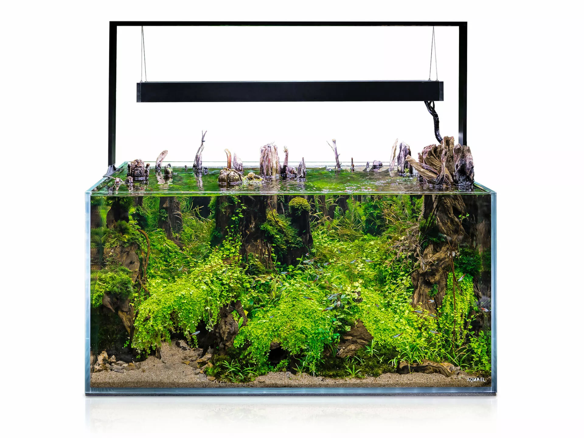 aquael-ultrascape-90-set-forest-aquarium-240l-dimensions-90-x-60-x-45-cm-avec-ou-sans-meuble