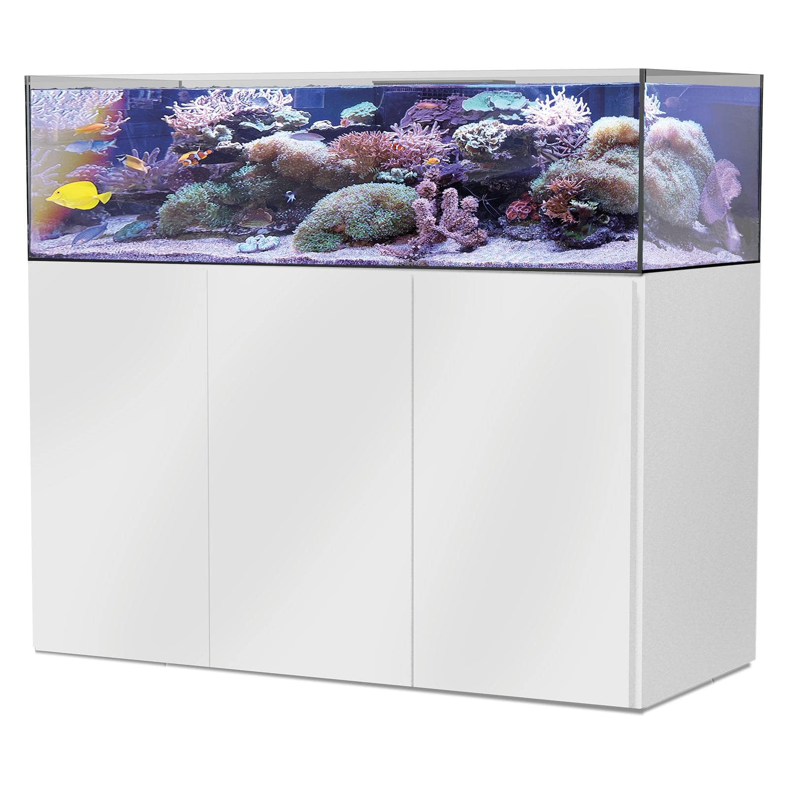 aqua-medic-armatus-lagoon-400-kit-aquarium-marin-150-cm-355-l-avec-meuble-et-systeme-a-decantation-min