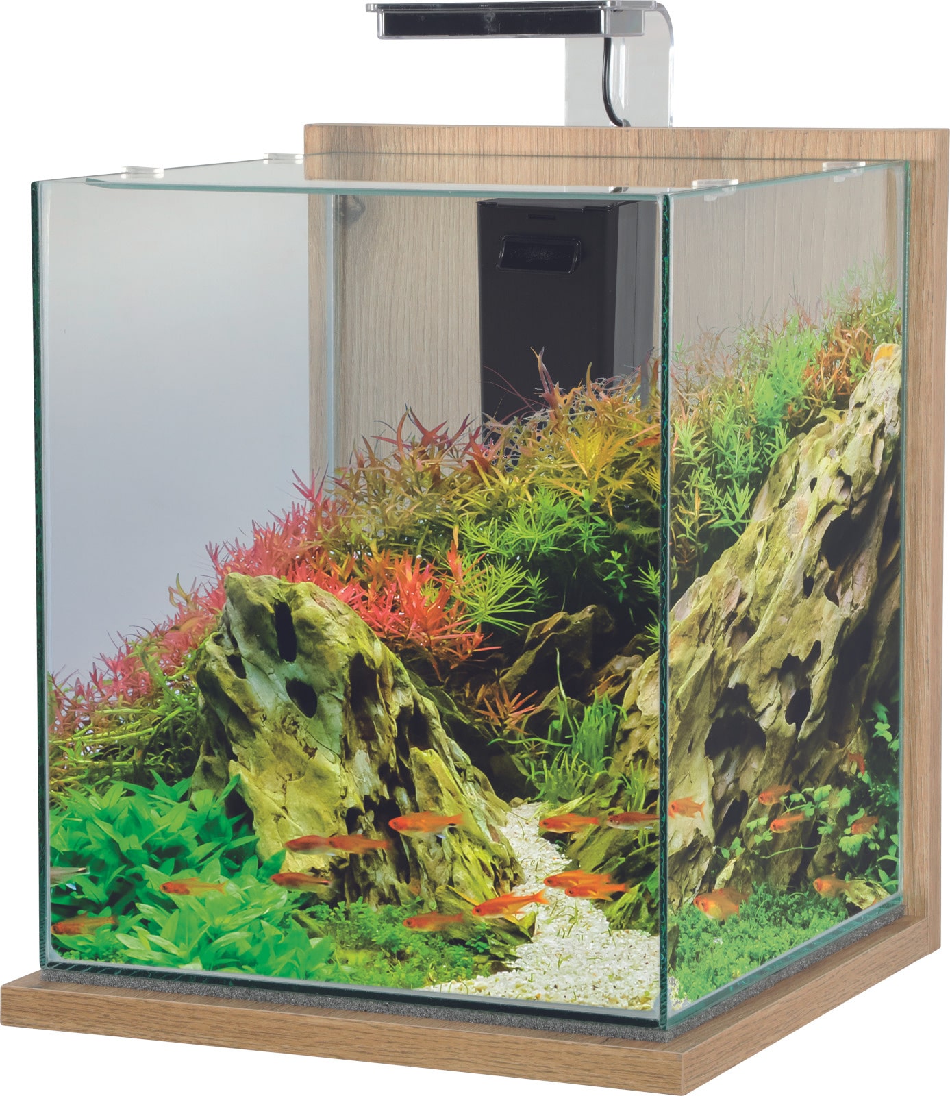 ZOLUX Jalaya XXL Chêne Clair 31,5 L kit nano-aquarium équipé avec éclairage LEDs
