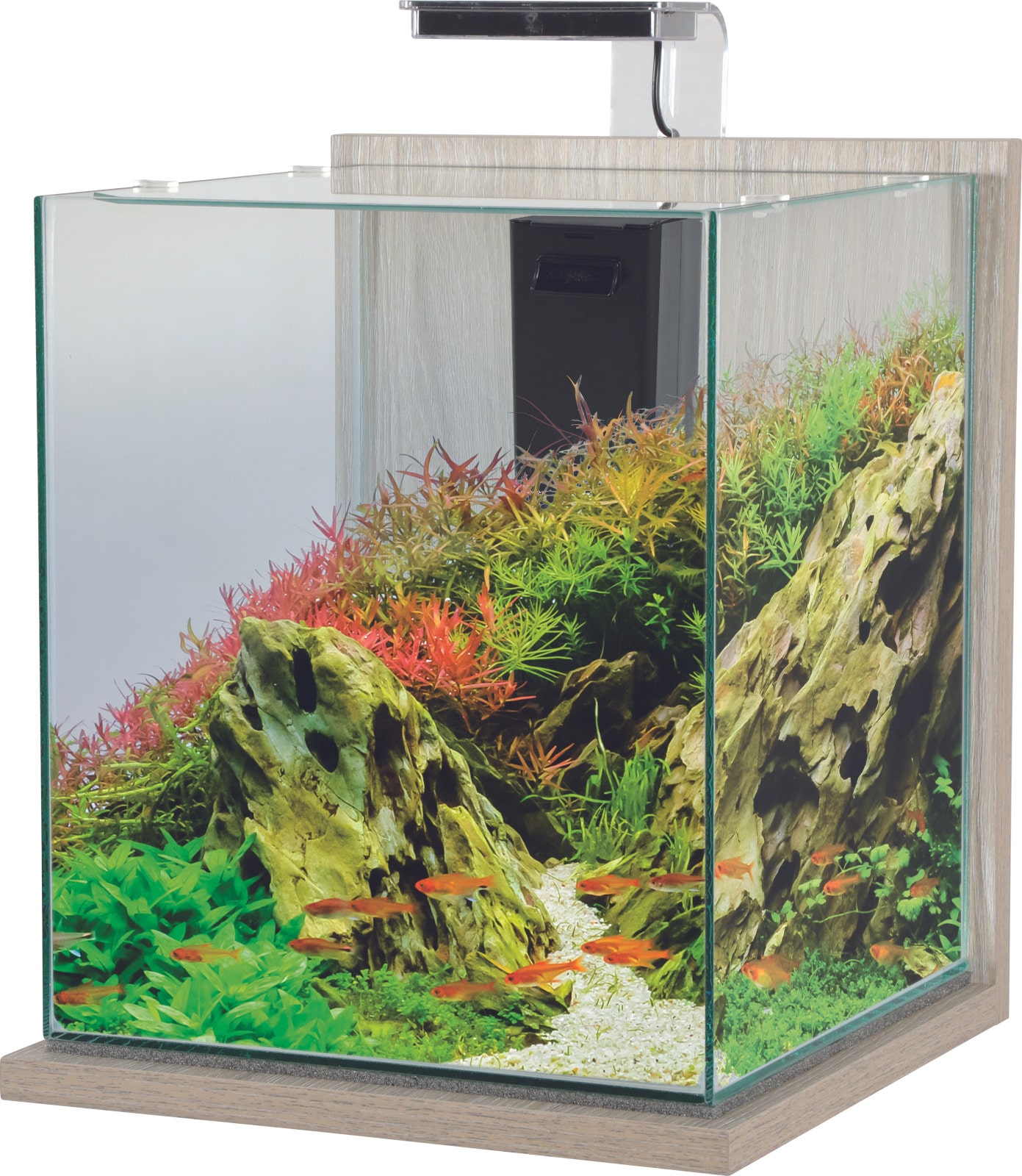 ZOLUX Jalaya XXL Zebrano Gris 31,5 L kit nano-aquarium équipé avec éclairage LEDs