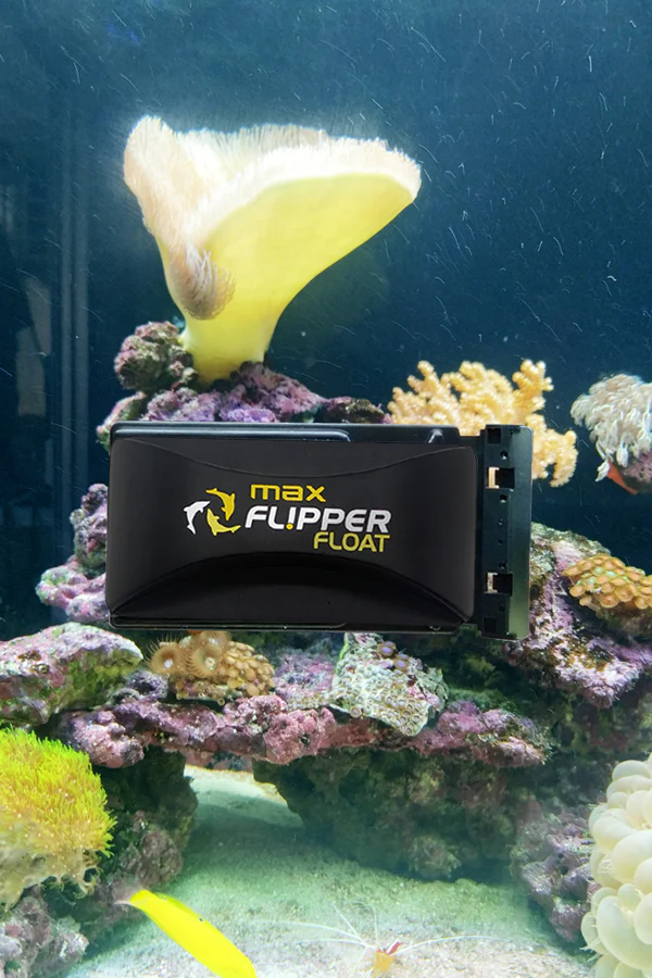 flipper-floating-flip-max-aimant-de-nettoyage-a-lame-pour-vitre-d-aquarium-jusqu-a-24-mm-d-epaisseur-2