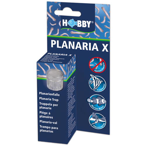 hobby-planaria-x-piege-a-planaires-pour-aquarium-d-eau-douce-et-d-eau-de-mer