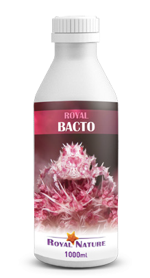 royal-bacto-1000-ml
