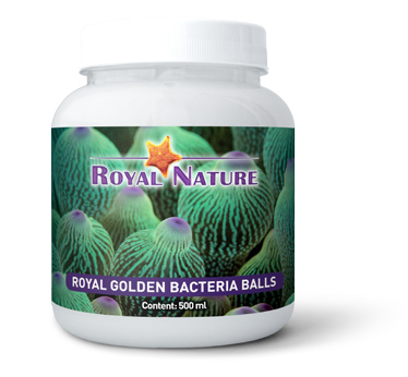 royal-golden-bacto-balls-500-ml