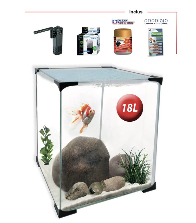 Filtration interne pour petit aquarium d'eau douce. - Aquariofil