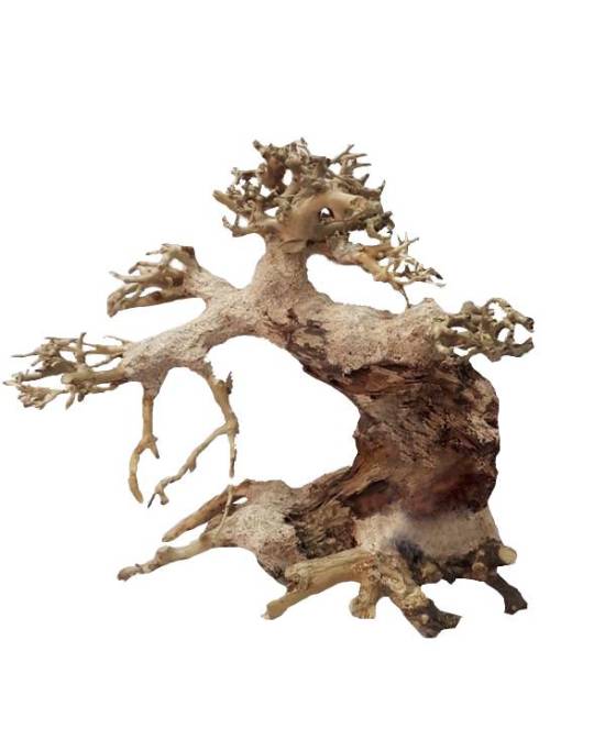aquavie-bonsai-natur-xs