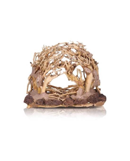 aquavie-forest-natur-r-mm
