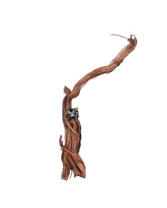 AQUAVIE Curlivigne Branch ML racine naturelle ambrée