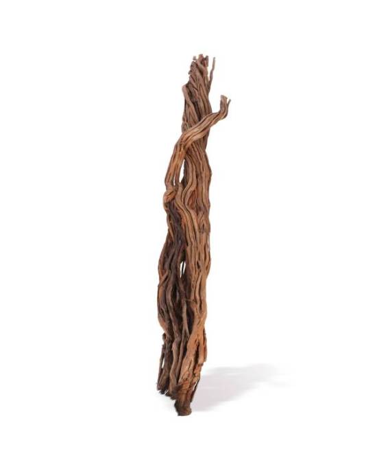 aquavie-curlivigne-branch-ml
