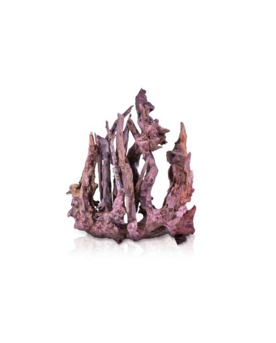 forest-cry-sm