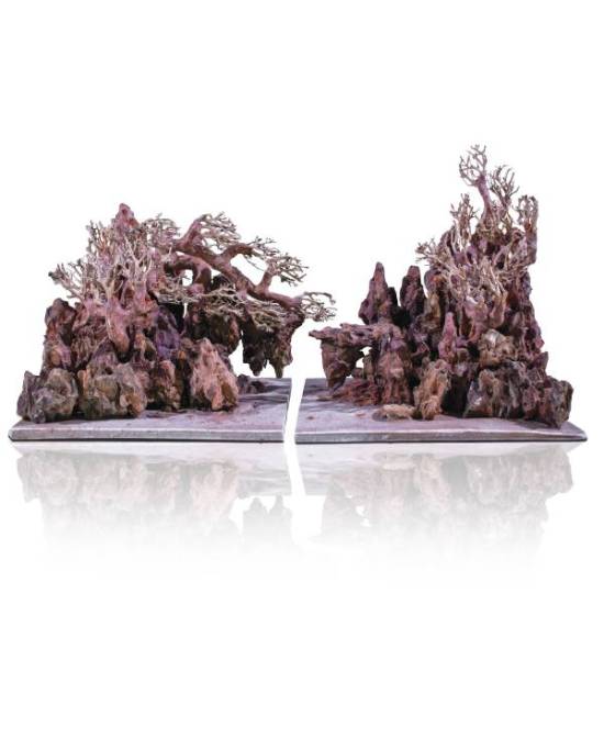 HOBBY Scaper Root racine en résine 29 x 14 x 23 cm pour la décoration de  votre aquarium d'eau douce - Décorations pour aquarium/Racines  artificielles -  - Aquariophilie
