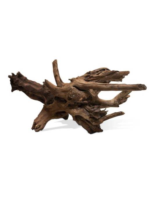 AQUAVIE Racine SinkNatur M 40 à 65 cm racine pour aquarium