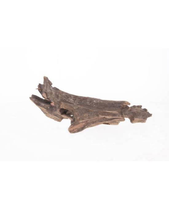 AQUAVIE Racine PookaNatur S 10 à 25 cm racine pour aquarium