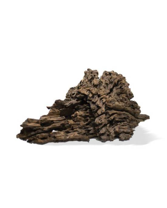 AQUAVIE Racine PookaNatur M 30 à 50 cm racine pour aquarium