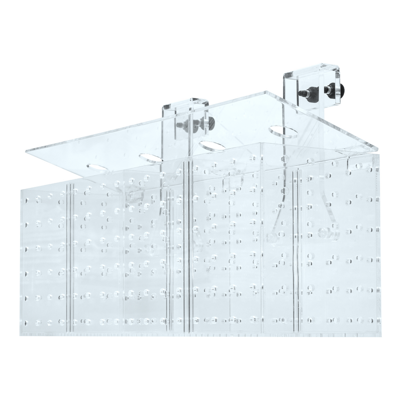 GROTECH Boîte d\'acclimatation à 4 chambres pour poissons et coraux