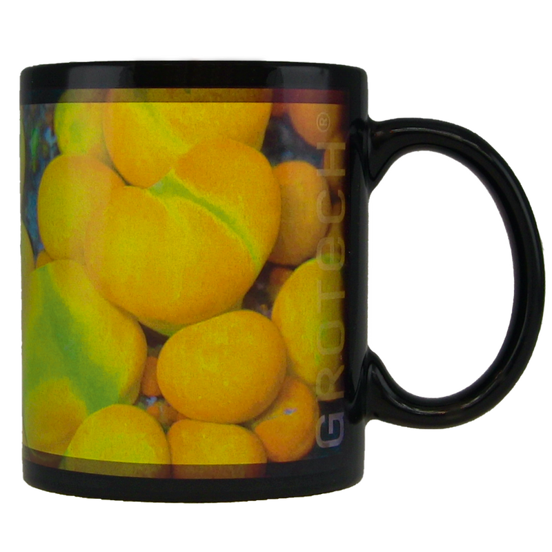GROTECH Tasse à thème Bubble bounce Mushroomcoral