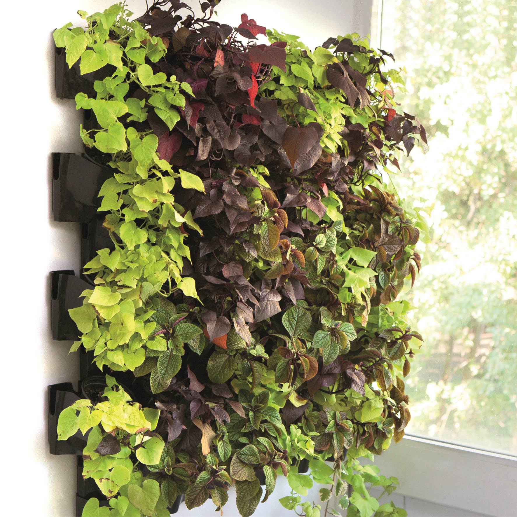 aquael-wall-module-versa-garden-support-12-pots-pour-la-creation-d-un-mur-vegetal-3