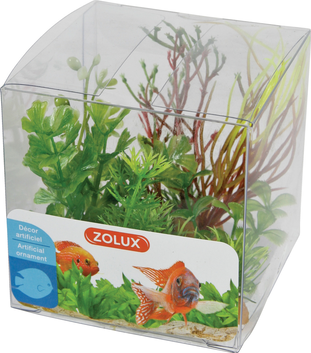 ZOLUX Boîte Mix 2 - Lot de 4 petites plantes artificielles 4 à 10 cm pour aquarium