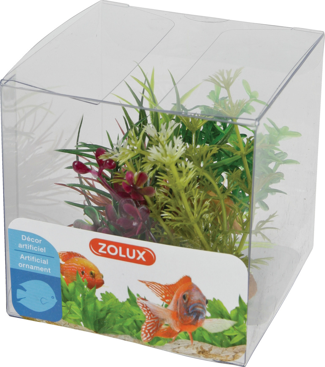 ZOLUX Boîte Mix 4 - Lot de 4 petites plantes artificielles 4 à 10 cm pour aquarium