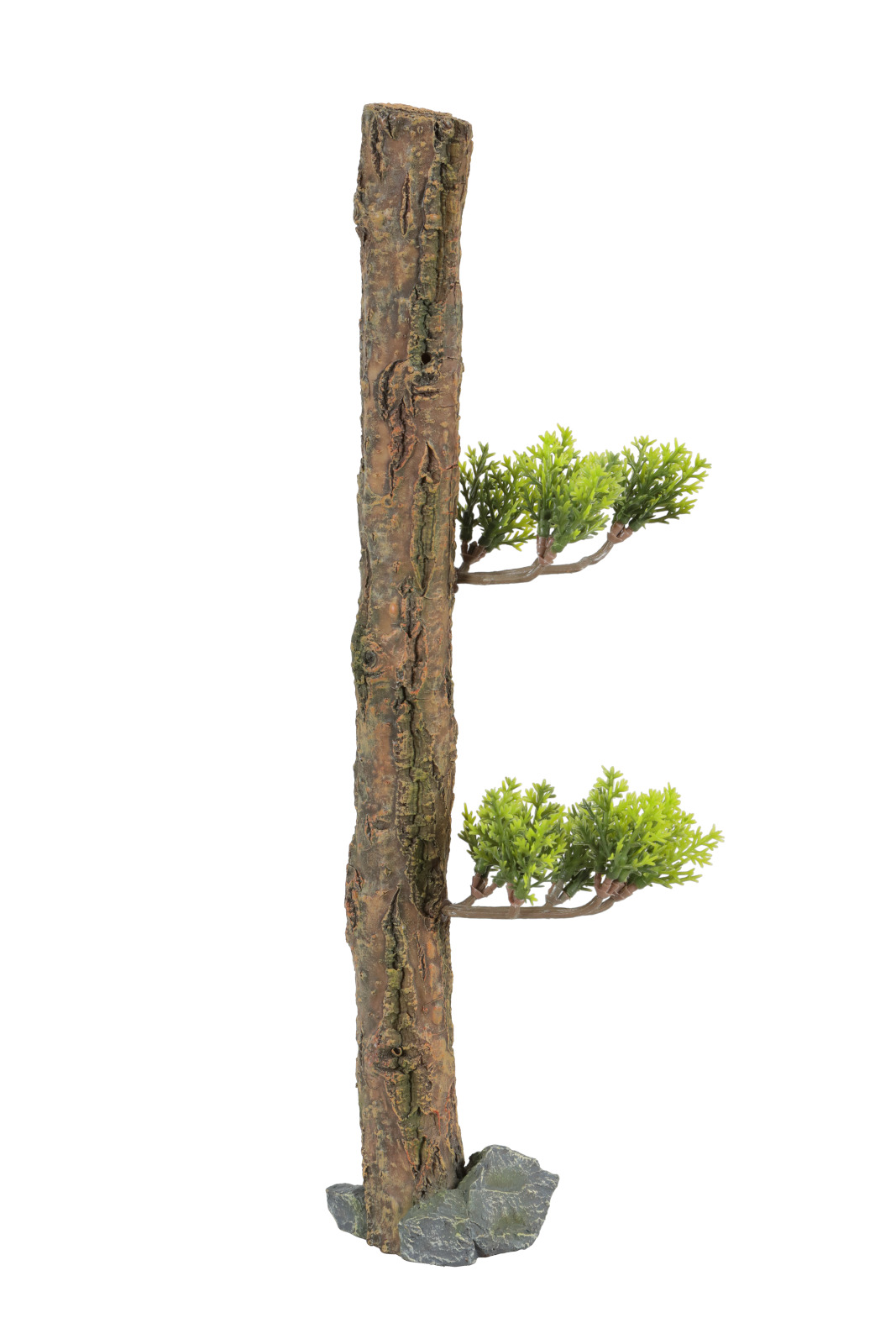 ZOLUX Forest M tronc artificiel 16 x 8 x 21 cm pour la décoration de l\'aquarium
