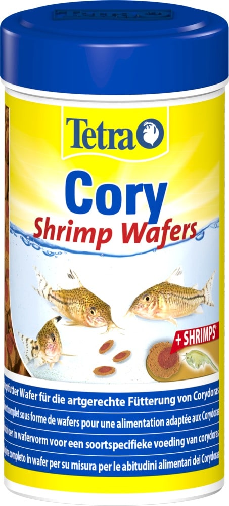 TETRA Cory ShrimpWafers 250 ml nourriture complète spéciale Corydoras et  autres poissons de fond - Nourritures eau douce/Nourriture pour poissons de  fond -  - Aquariophilie