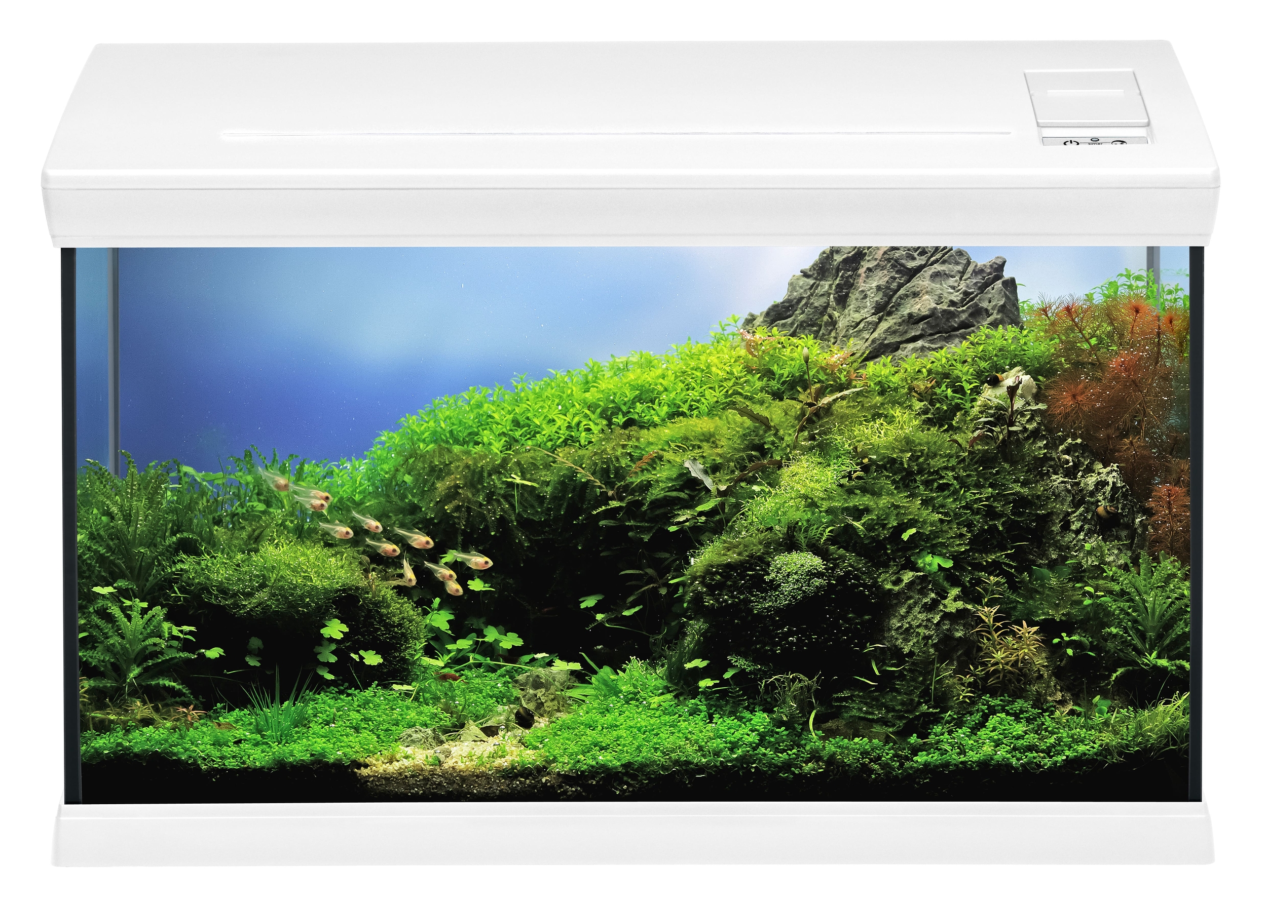 EHEIM Aquaclass 66 Blanc LED aquarium équipé 60,7 cm 66 L. Conception haute qualité