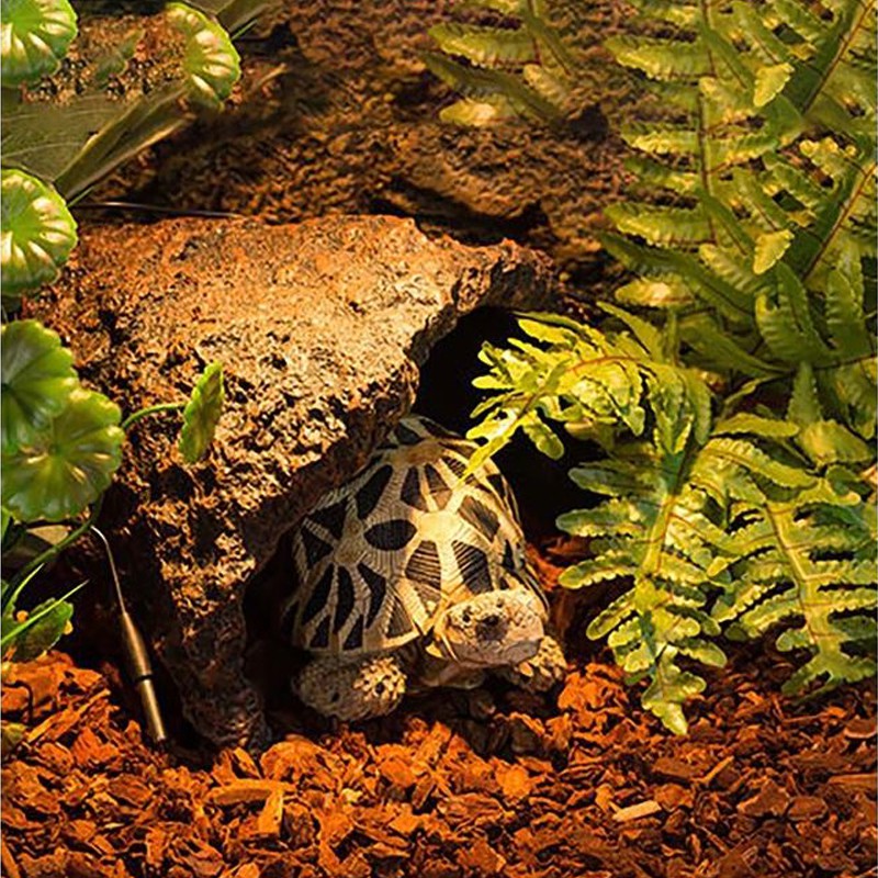 repti-zoo-pine-bark-4l-kora