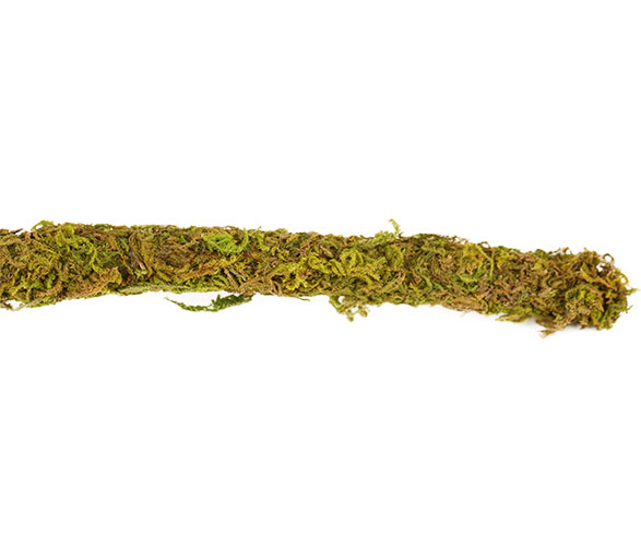 reptizoo-vine-moss-natural-liane-artificielle-avec-mousse-naturelle