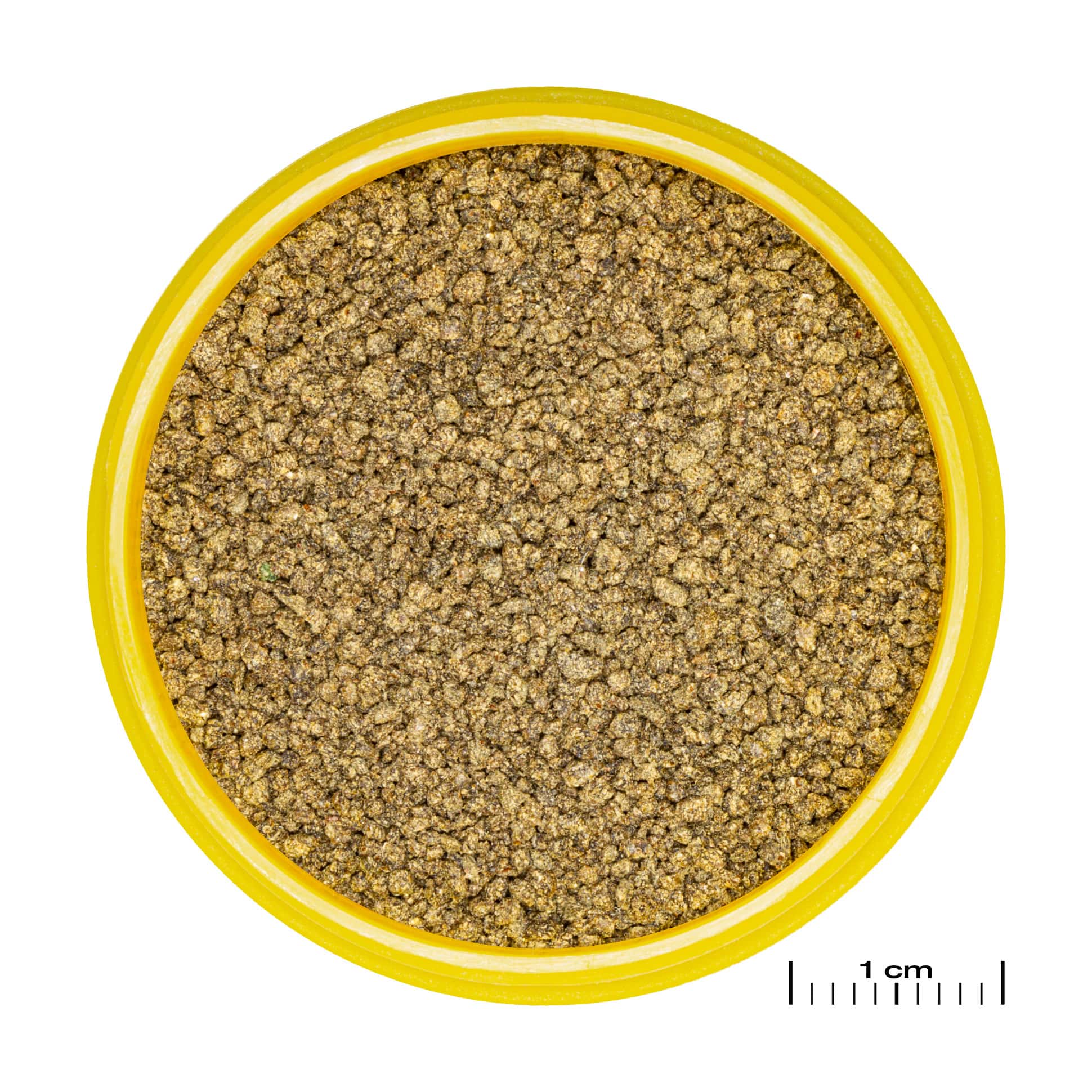 jbl-pronovo-killifish-grano-s-100-ml-click-nourriture-en-granules-pour-killies-de-3-a-10-cm-1-min