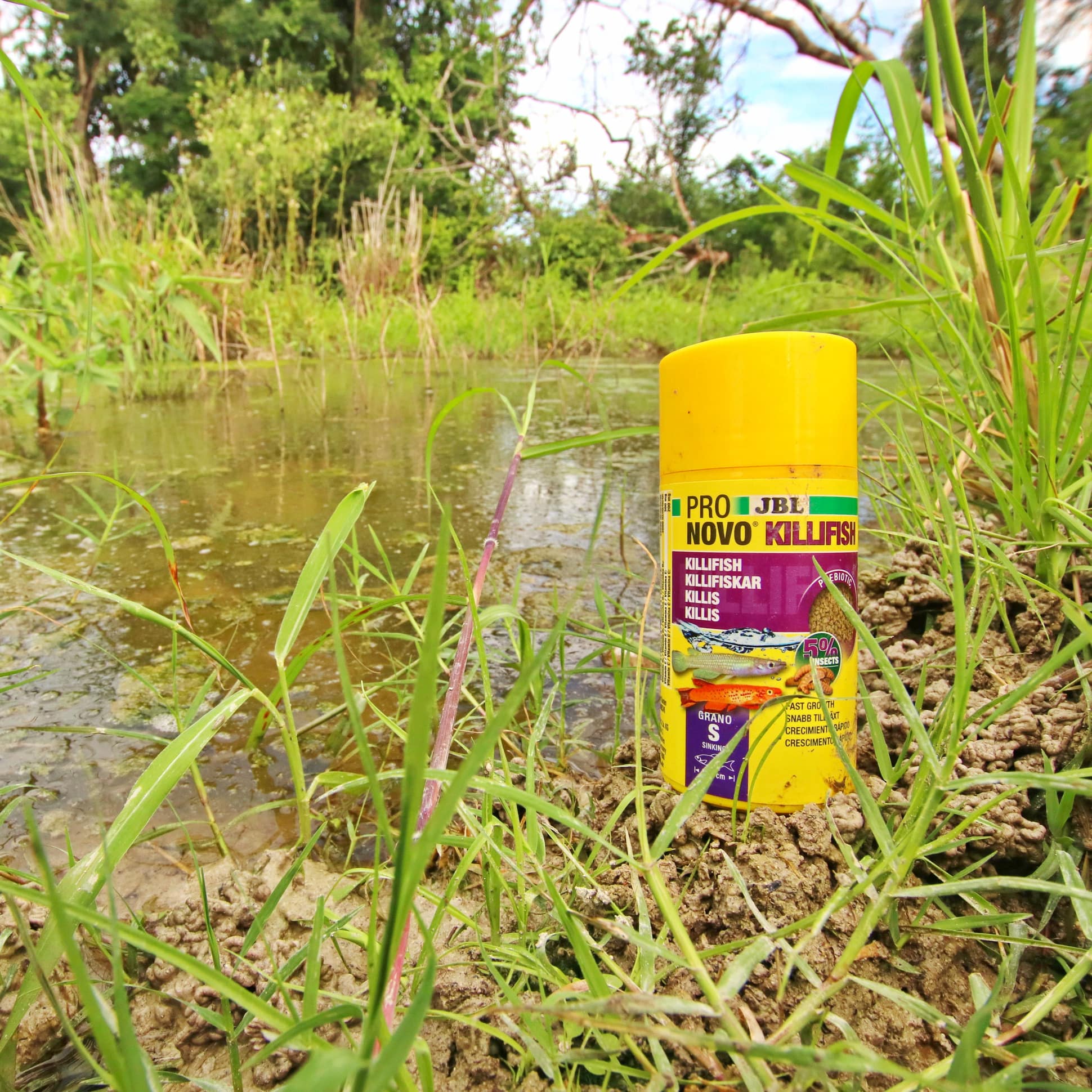 jbl-pronovo-killifish-grano-s-100-ml-click-nourriture-en-granules-pour-killies-de-3-a-10-cm-4-min