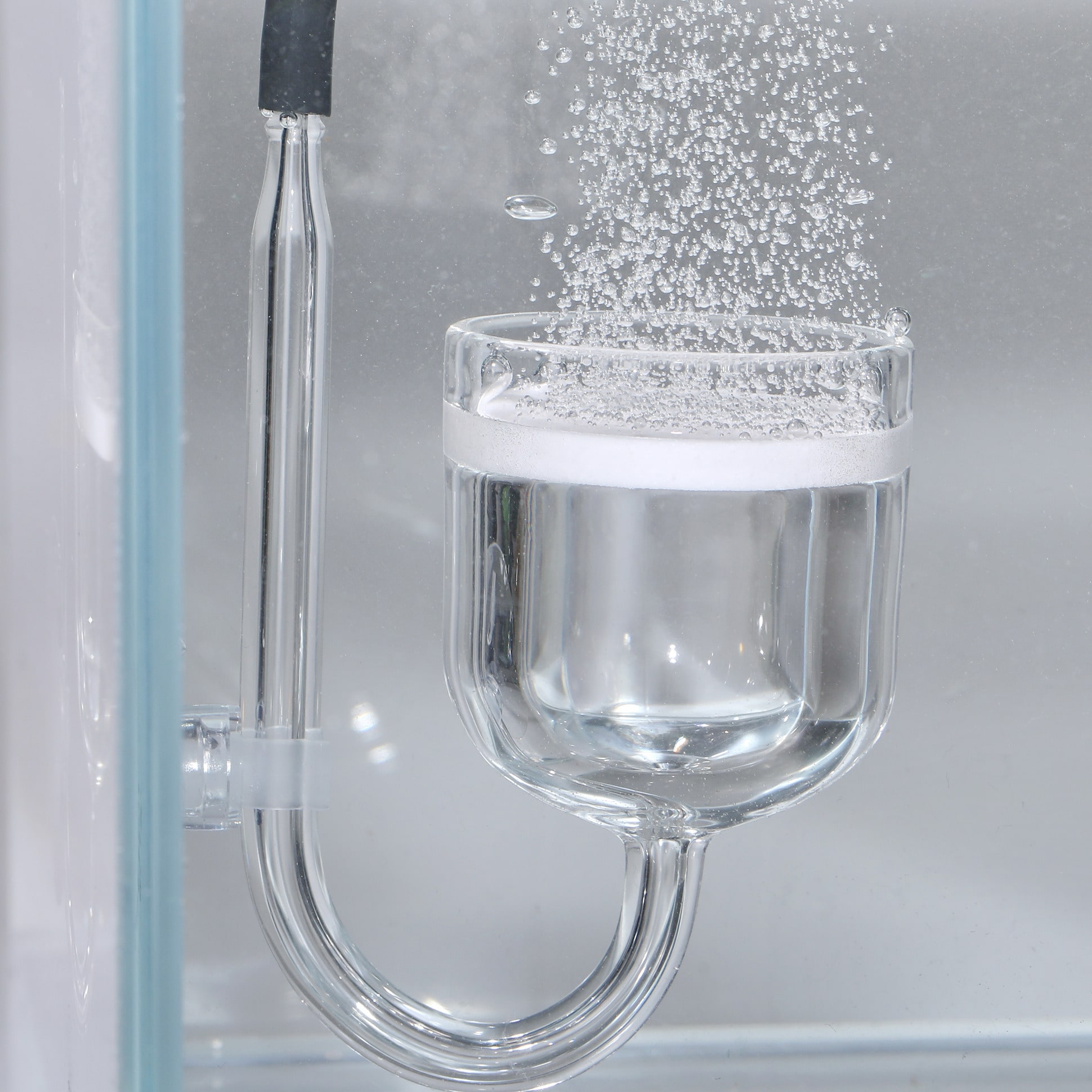 JBL Proflora CO2 Taifun Glass Mini mini-diffuseur de CO2 haute perfomance  pour aquarium de 40 à 800 L - Système CO2 et accessoires/Accessoires pour  système CO2 -  - Aquariophilie