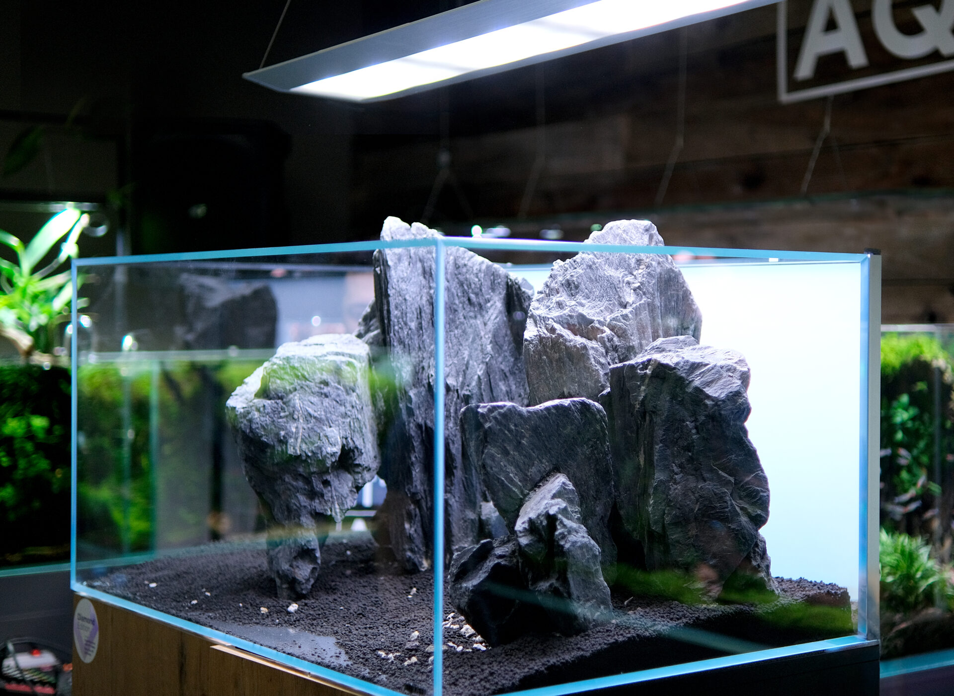 aquael-ultrascape-set-diamond-edition-60-aquarium-64l-dimensions-60-x-30-x-36-cm-avec-eclairage-leds-7